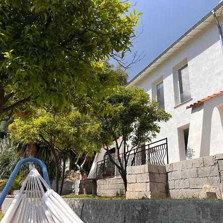 Petit Paradis Perche Au Coeur De Nicea